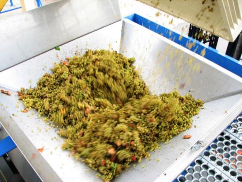 2012 Chardonnay Dump Into Press 2
